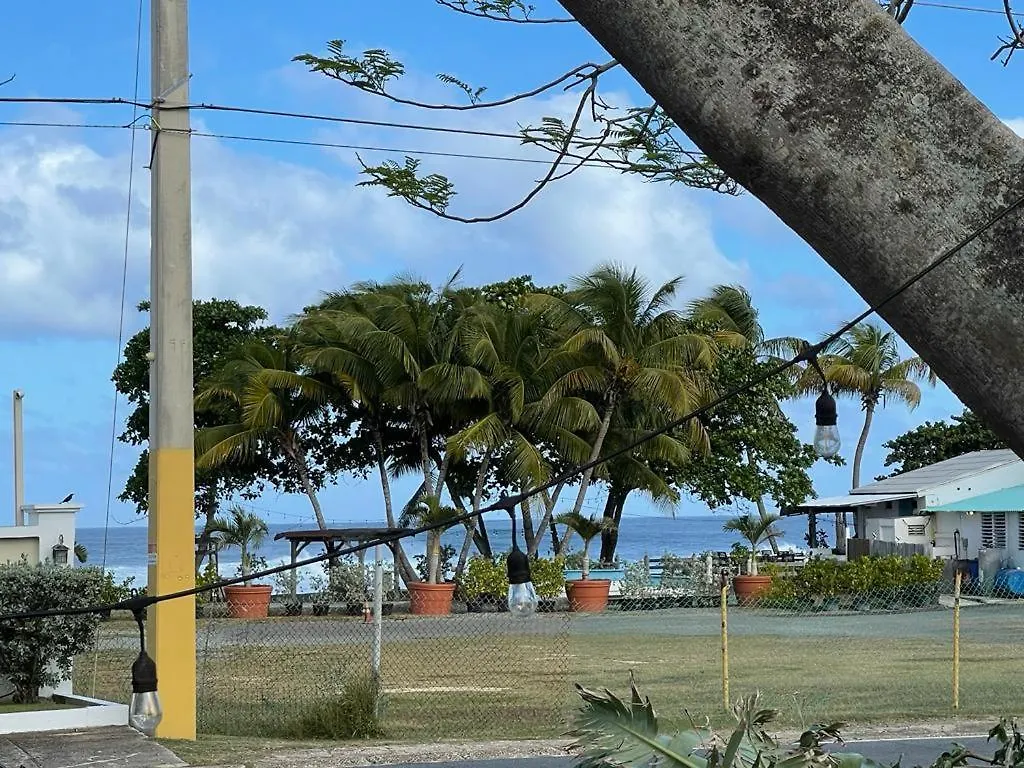 Las Olas Studios Arecibo