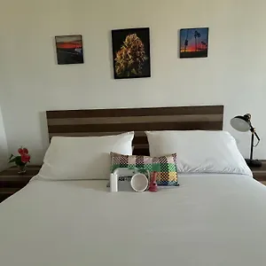 Bednbong Experience Arecibo